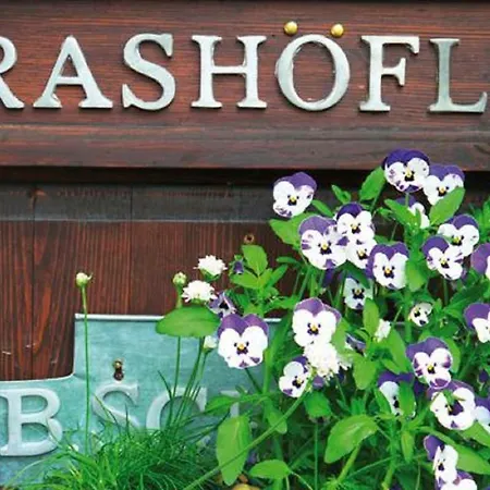 Grashoefle 乡村民宿 *