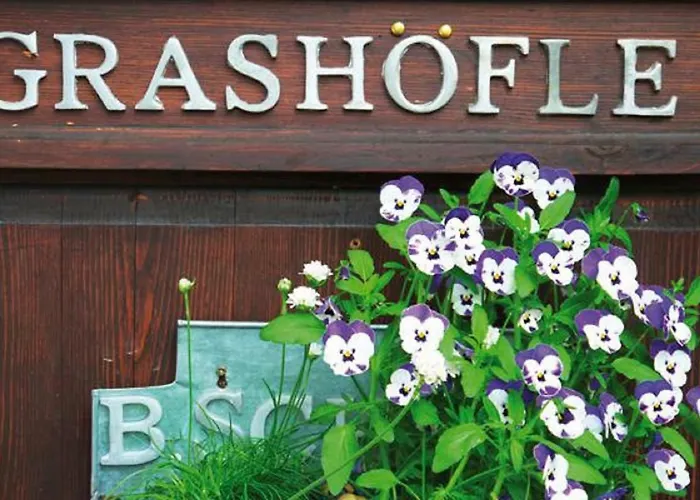 Grashoefle 乡村民宿 *